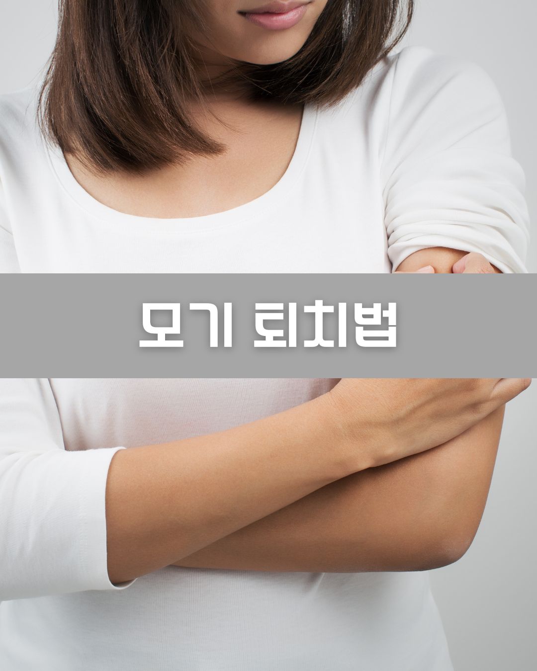 모기 퇴치법 이미지