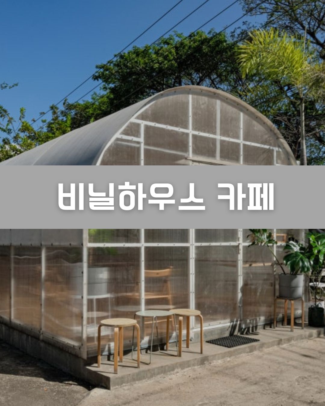 비닐하우스 카페 이미지