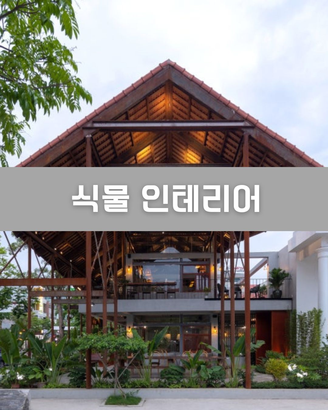 식물 인테리어 이미지