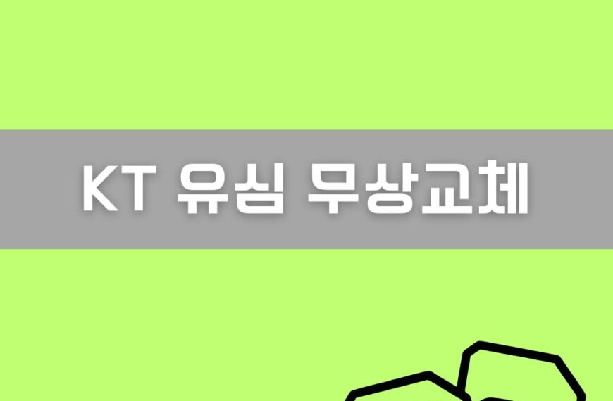 KT 유심 무상교체 이미지