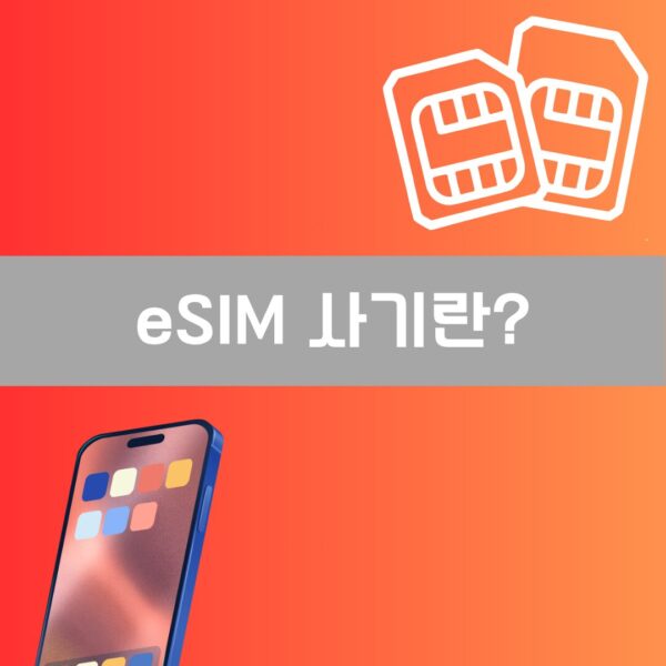 eSIM 사기란 이미지