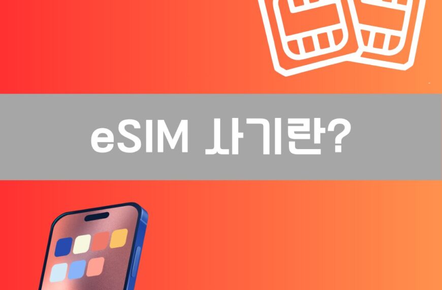 eSIM 사기란 이미지