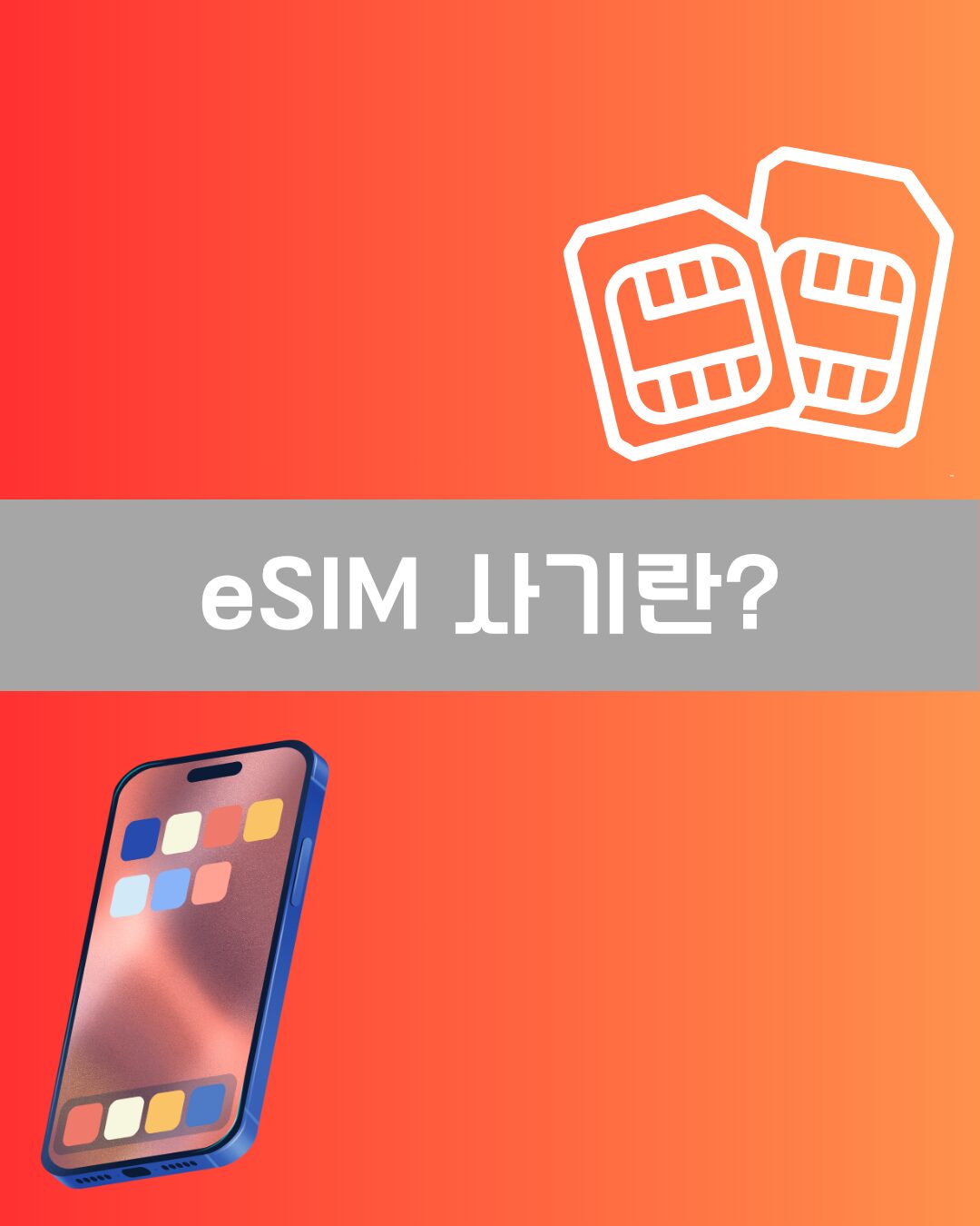 eSIM 사기란 이미지