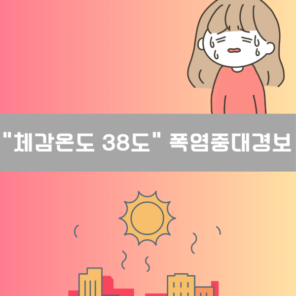 “체감온도 38도 이상” 폭염중대경보 이미지