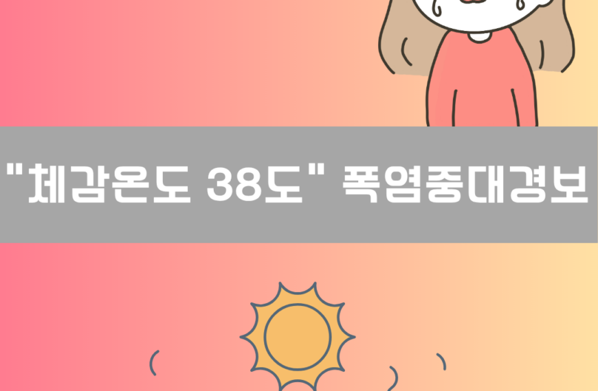 “체감온도 38도 이상” 폭염중대경보 이미지