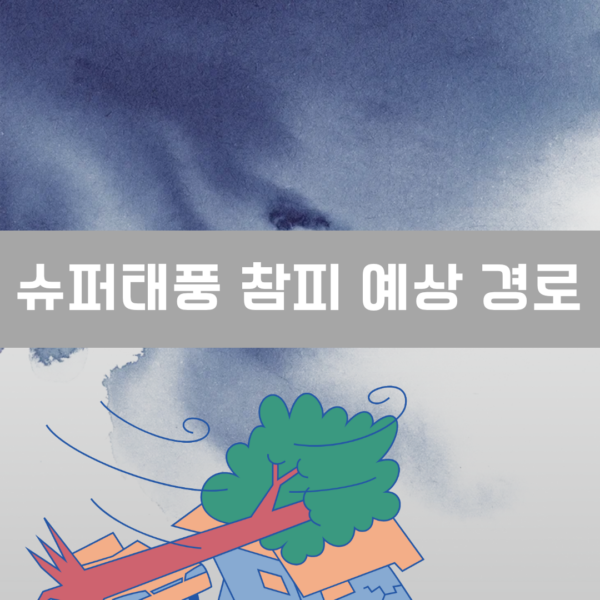 슈퍼태풍 참피 이미지