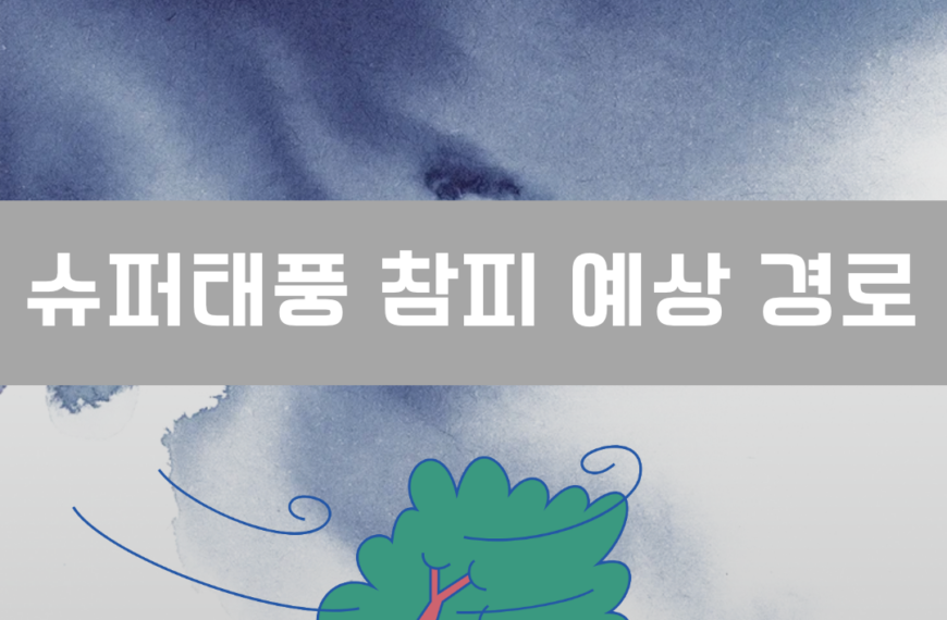 슈퍼태풍 참피 이미지